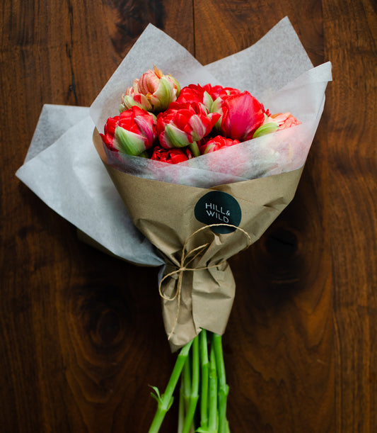 Fancy Double Tulips