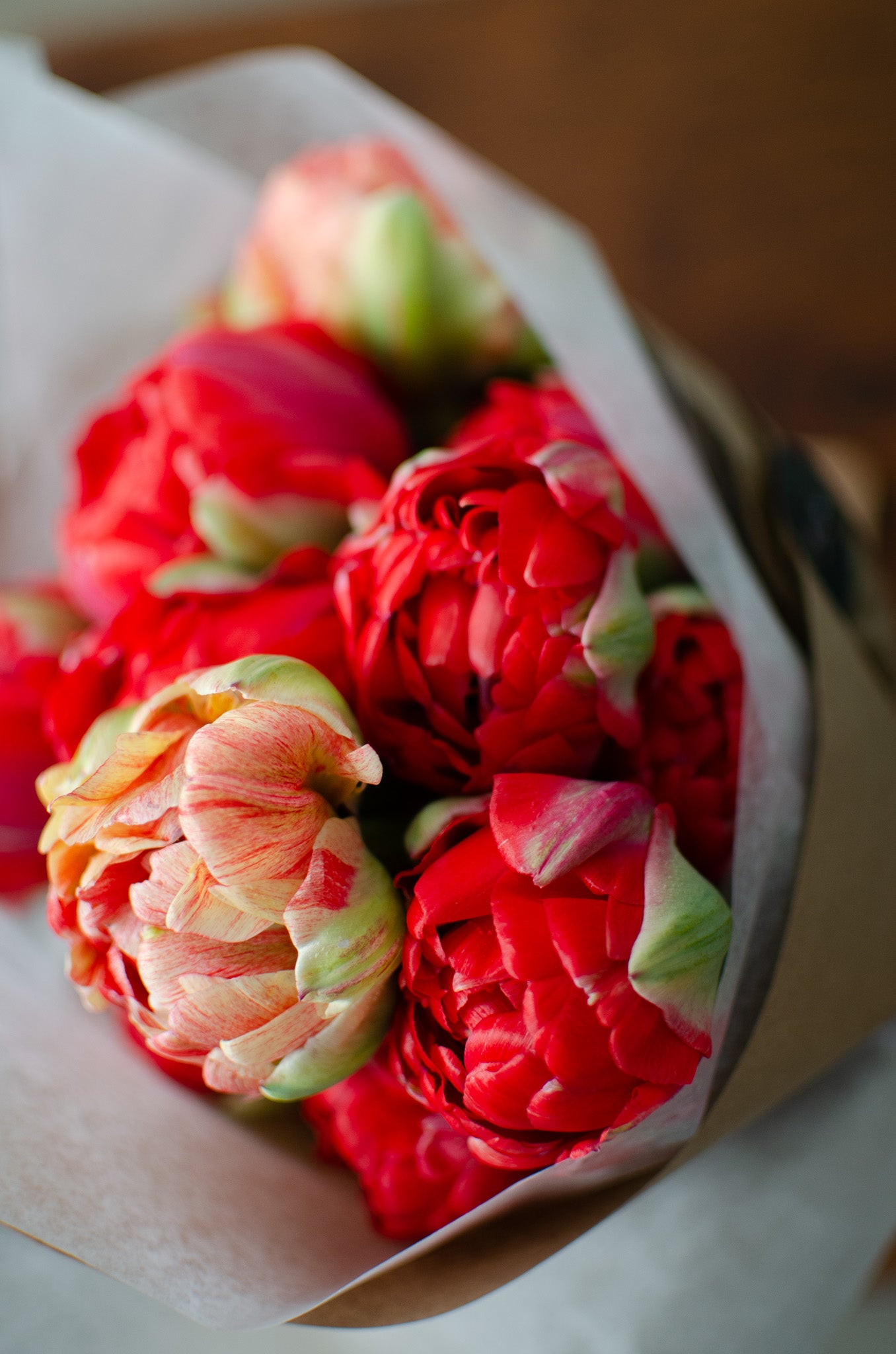 Fancy Double Tulips